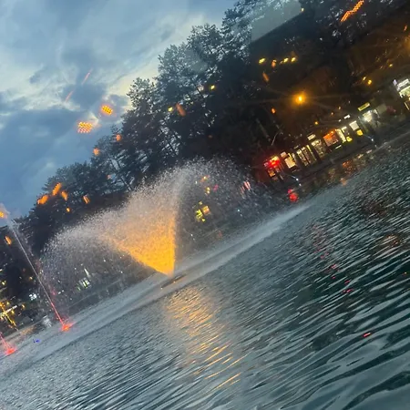 Colovic * 즐라티보